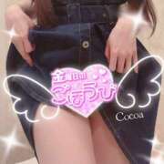 ヒメ日記 2026/09/18 13:18 投稿 心愛【ここあ】 CoCoaco(ココアコ)大阪本店