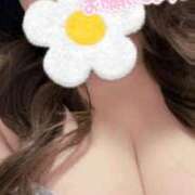 ヒメ日記 2025/04/01 13:02 投稿 ゆずき 即アポ奥さん〜名古屋店〜