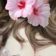 ヒメ日記 2025/09/03 00:14 投稿 ゆずき 即アポ奥さん〜名古屋店〜