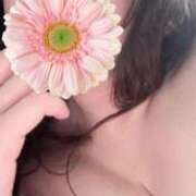 ヒメ日記 2026/01/13 11:21 投稿 ゆずき 即アポ奥さん〜名古屋店〜