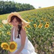 ヒメ日記 2025/07/29 19:50 投稿 嶋崎あいか 渋谷エオス