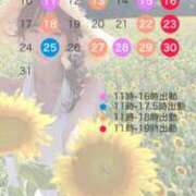 ヒメ日記 2025/08/03 23:30 投稿 嶋崎あいか 渋谷エオス