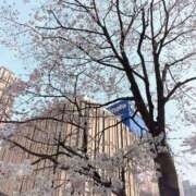 ヒメ日記 2025/03/27 13:26 投稿 まゆみ いけない歯科衛生士 錦糸町店