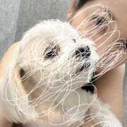 ヒメ日記 2025/09/11 10:06 投稿 広沢 昼顔妻 五反田店