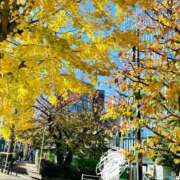 ヒメ日記 2025/12/02 09:26 投稿 広沢 昼顔妻 五反田店