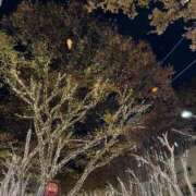 ヒメ日記 2024/12/16 20:32 投稿 きらり CIELO（シエロ）