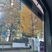 ヒメ日記 2024/12/21 20:42 投稿 きらり CIELO（シエロ）