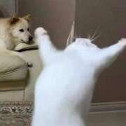 ヒメ日記 2025/01/12 20:42 投稿 きらり CIELO（シエロ）