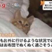 ヒメ日記 2025/01/15 21:02 投稿 きらり CIELO（シエロ）