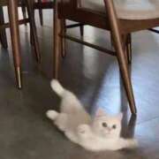 ヒメ日記 2025/01/16 21:22 投稿 きらり CIELO（シエロ）