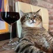 ヒメ日記 2025/01/18 21:42 投稿 きらり CIELO（シエロ）