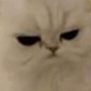 ヒメ日記 2025/01/20 20:42 投稿 きらり CIELO（シエロ）