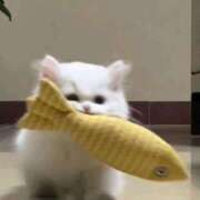 ヒメ日記 2025/01/21 20:51 投稿 きらり CIELO（シエロ）