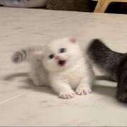 ヒメ日記 2025/01/28 21:02 投稿 きらり CIELO（シエロ）