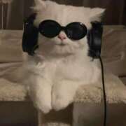 ヒメ日記 2025/02/15 20:22 投稿 きらり CIELO（シエロ）