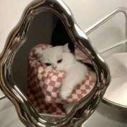 ヒメ日記 2025/02/23 20:22 投稿 きらり CIELO（シエロ）