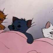 ヒメ日記 2025/02/27 20:22 投稿 きらり CIELO（シエロ）