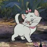 ヒメ日記 2025/02/28 20:41 投稿 きらり CIELO（シエロ）