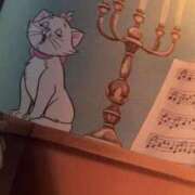 ヒメ日記 2025/03/08 21:22 投稿 きらり CIELO（シエロ）