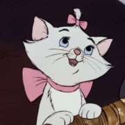 ヒメ日記 2025/03/12 20:22 投稿 きらり CIELO（シエロ）