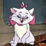 ヒメ日記 2025/03/15 22:22 投稿 きらり CIELO（シエロ）