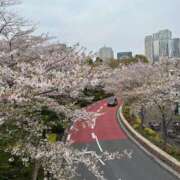 ヒメ日記 2025/04/12 21:22 投稿 きらり CIELO（シエロ）