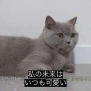 ヒメ日記 2025/05/01 20:34 投稿 きらり CIELO（シエロ）