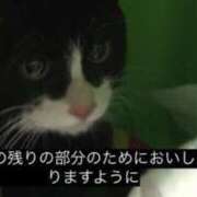 ヒメ日記 2025/05/10 19:22 投稿 きらり CIELO（シエロ）