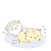 ヒメ日記 2025/05/17 20:38 投稿 きらり CIELO（シエロ）