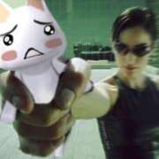 ヒメ日記 2025/06/03 20:22 投稿 きらり CIELO（シエロ）