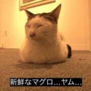 ヒメ日記 2025/06/16 20:52 投稿 きらり CIELO（シエロ）