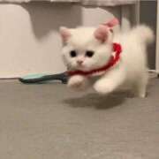 ヒメ日記 2025/06/17 20:52 投稿 きらり CIELO（シエロ）