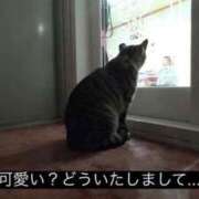 ヒメ日記 2025/06/19 20:22 投稿 きらり CIELO（シエロ）