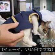 ヒメ日記 2025/07/14 20:52 投稿 きらり CIELO（シエロ）