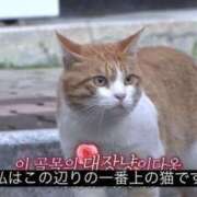 ヒメ日記 2025/07/16 20:39 投稿 きらり CIELO（シエロ）