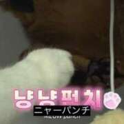 ヒメ日記 2025/07/24 20:42 投稿 きらり CIELO（シエロ）