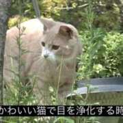 ヒメ日記 2025/10/02 19:52 投稿 きらり CIELO（シエロ）