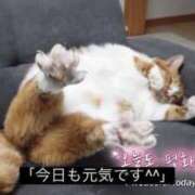 ヒメ日記 2025/10/07 21:12 投稿 きらり CIELO（シエロ）