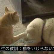 ヒメ日記 2025/10/09 21:22 投稿 きらり CIELO（シエロ）