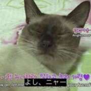 ヒメ日記 2025/10/27 20:22 投稿 きらり CIELO（シエロ）