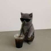 ヒメ日記 2026/01/27 20:32 投稿 きらり CIELO（シエロ）