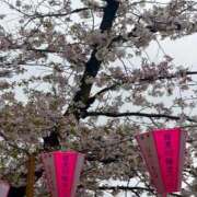 ヒメ日記 2026/04/02 20:42 投稿 きらり CIELO（シエロ）