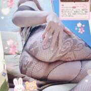 ヒメ日記 2025/04/03 07:32 投稿 上原さき 五十路マダム静岡店（カサブランカG）