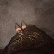 ヒメ日記 2025/11/23 11:41 投稿 りえ Felice(フェリス)