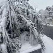 ヒメ日記 2026/02/08 10:37 投稿 りえ Felice(フェリス)