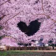 かれん 4月なのに ふぞろいの人妻たち