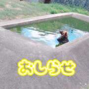 ヒメ日記 2026/08/11 20:12 投稿 あいか 熟女＆人妻＆ぽっちゃり倶楽部