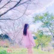 ヒメ日記 2025/04/06 00:41 投稿 ももか ハイ・チュッ