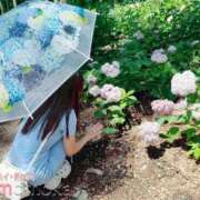 ヒメ日記 2025/06/29 23:03 投稿 ももか ハイ・チュッ