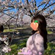 ヒメ日記 2026/04/04 09:01 投稿 ももか ハイ・チュッ